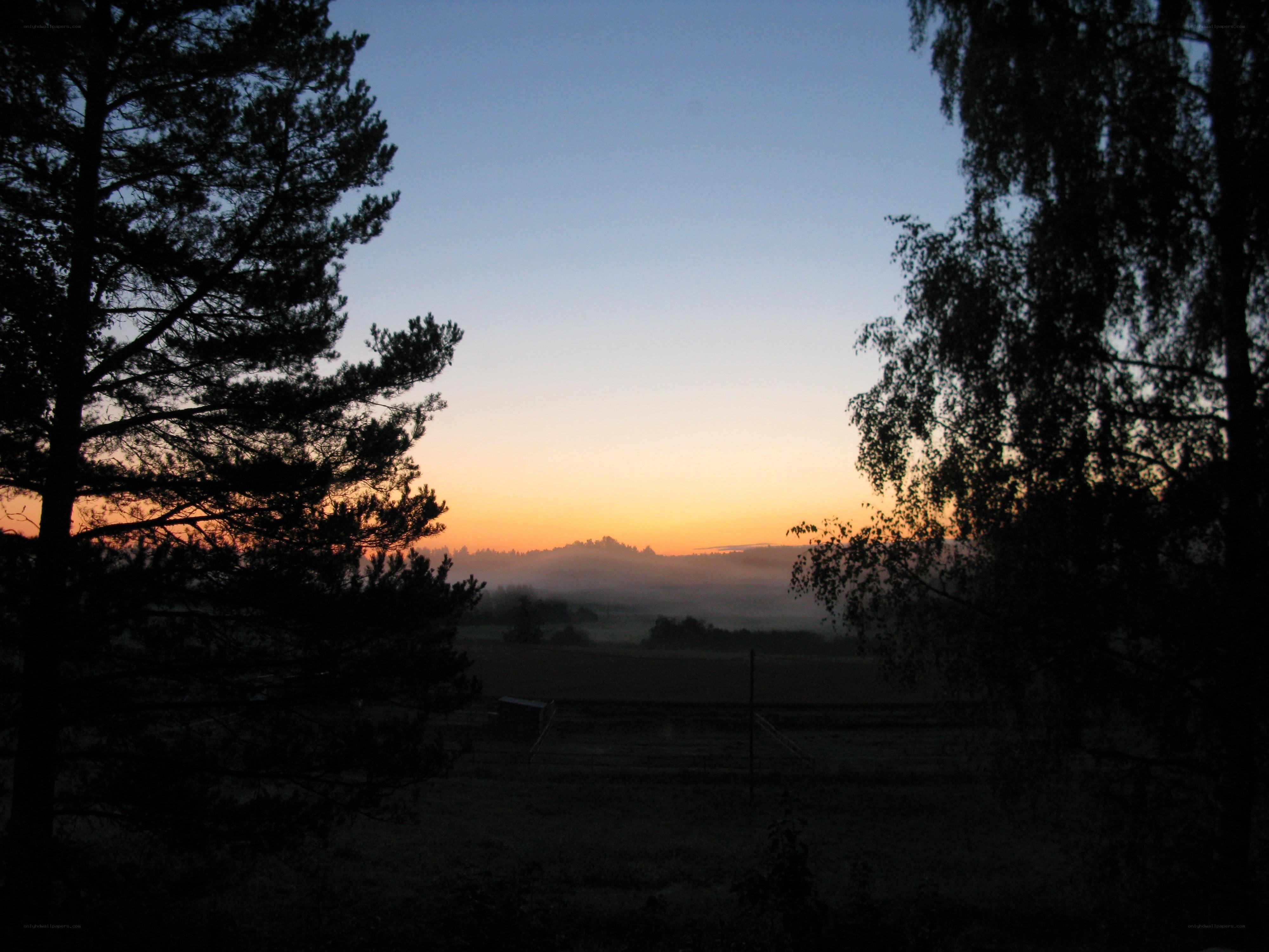 Sunrise over misty valley