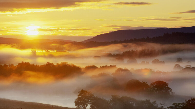Sunrise over Misty Valley — Yellow