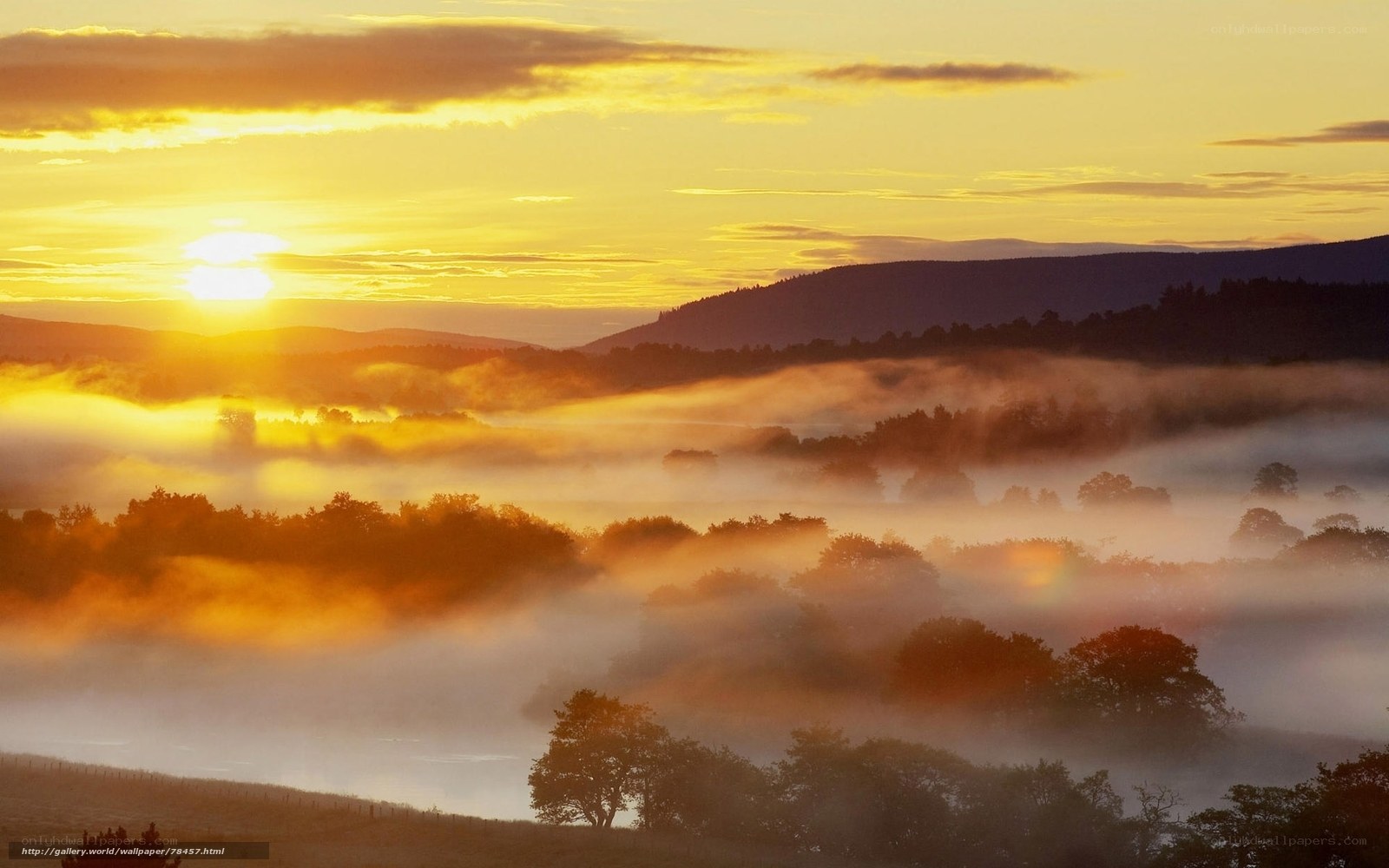 Sunrise over misty valley