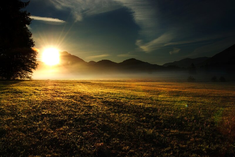 Sunrise over Mountain Field — Gold, Serene