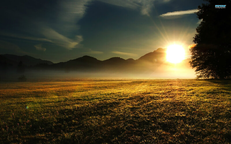 Sunrise over Mountain Field — Gold