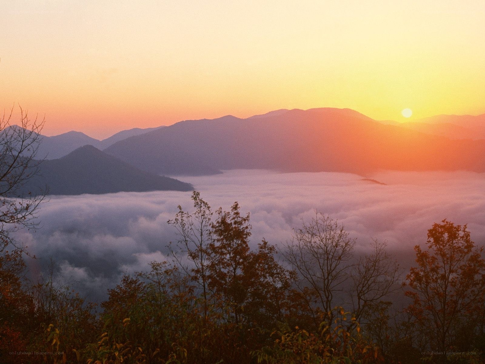 Sunrise over mountain fog