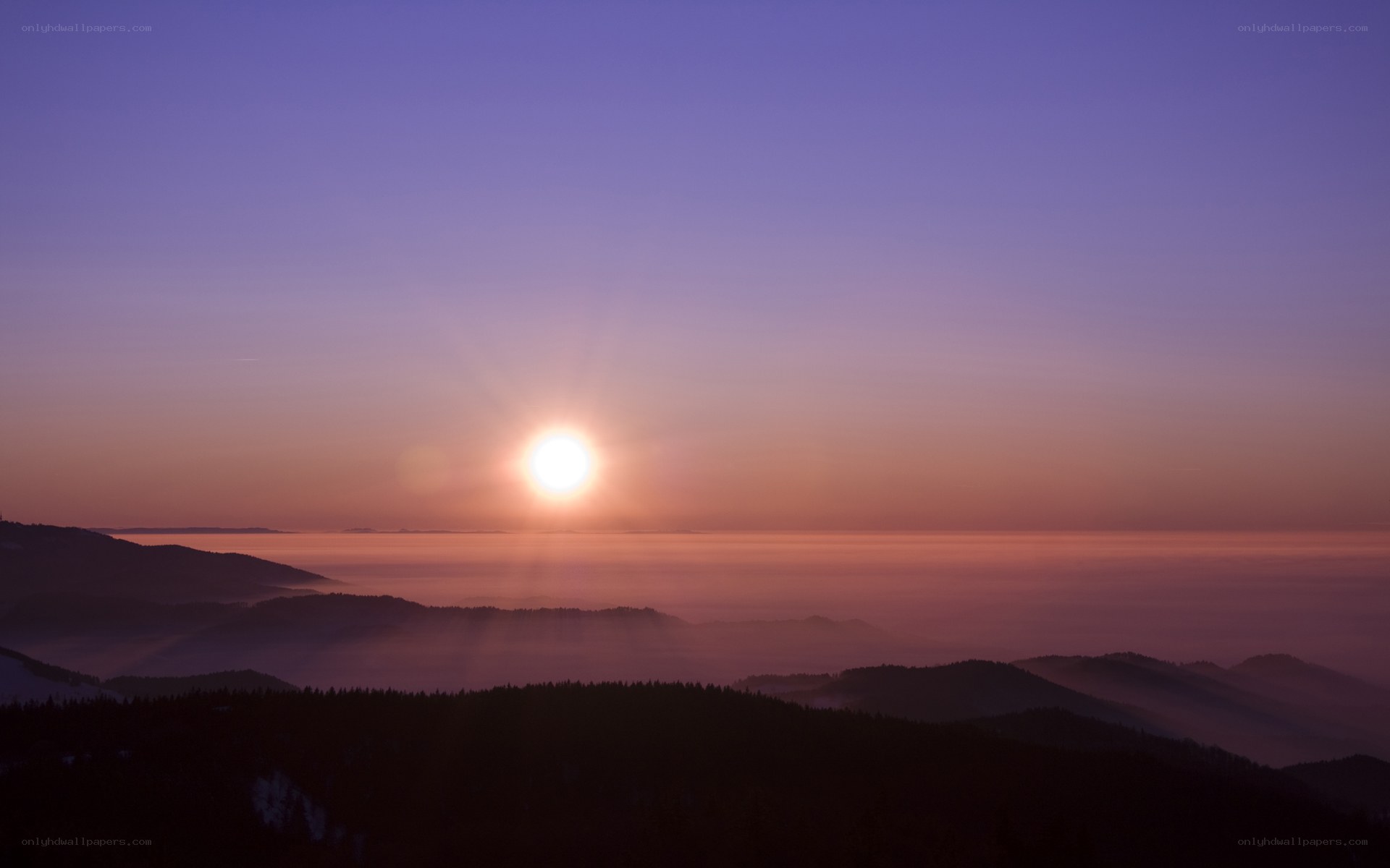 Sunrise over mountain fog