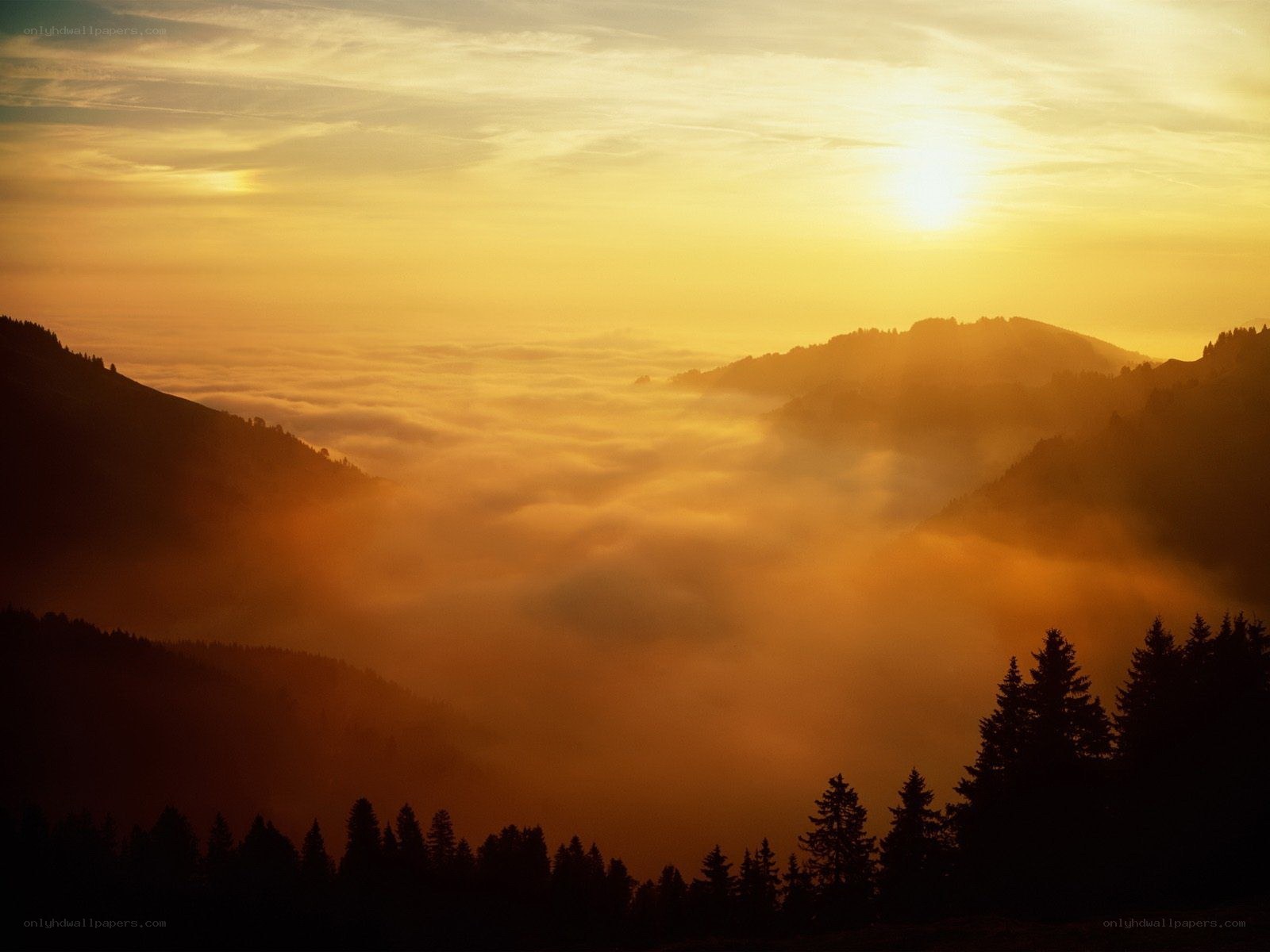 Sunrise over mountain fog