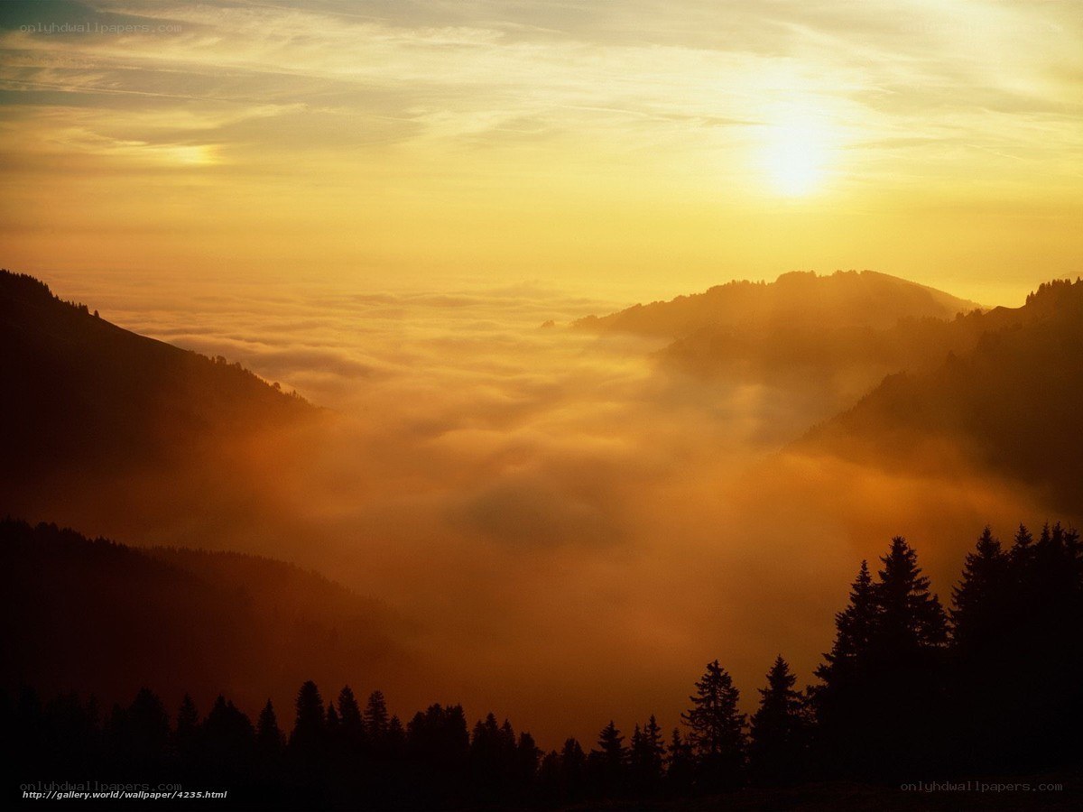 Sunrise over mountain fog