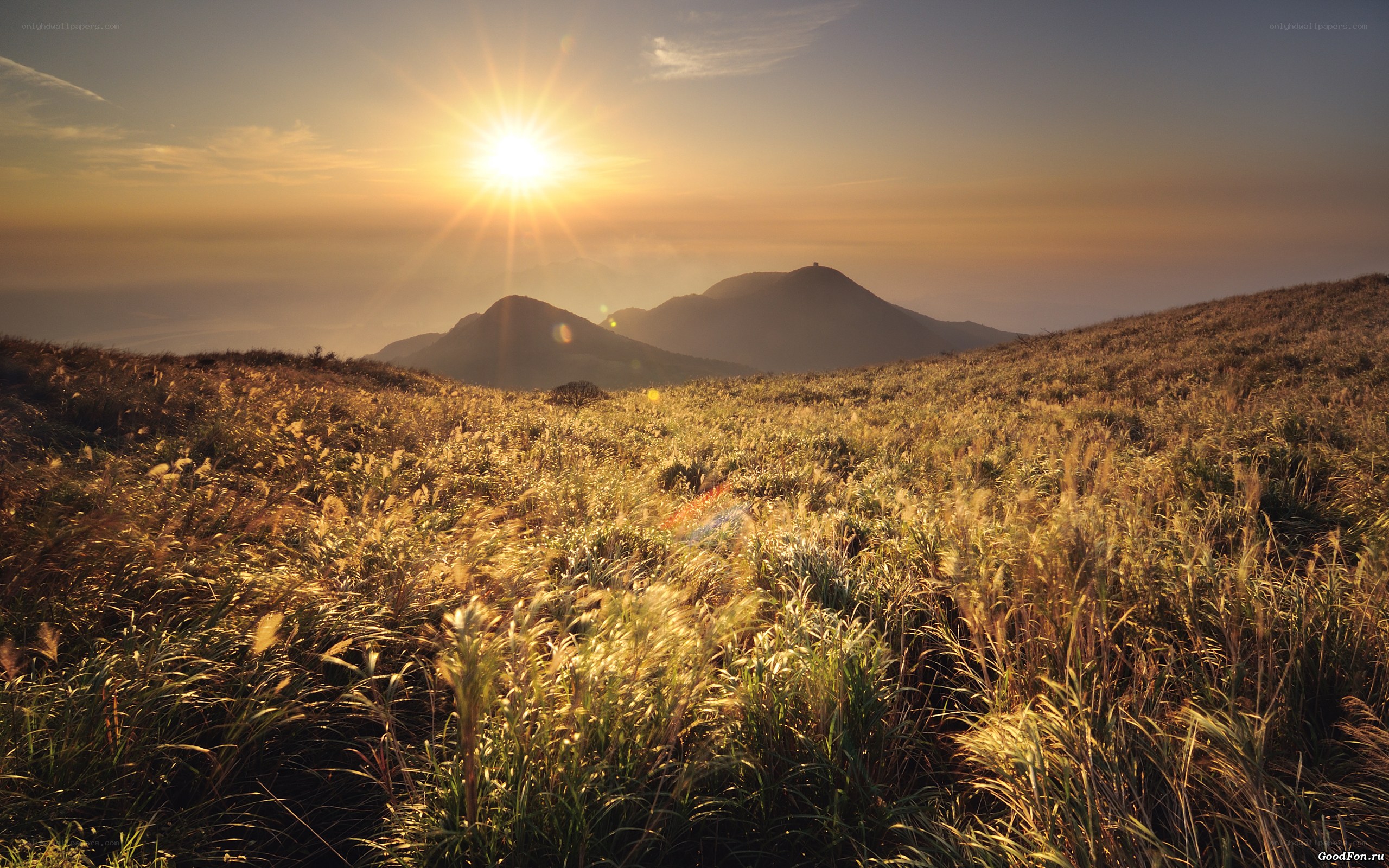 Sunrise over mountain meadow