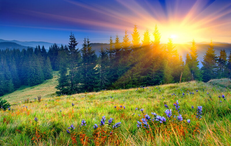 Sunrise over Mountain Meadow — Green, Serene, Photograph
