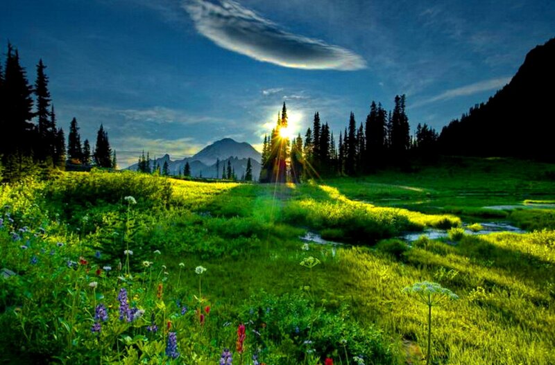 Sunrise over Mountain Meadow — Green, Serene