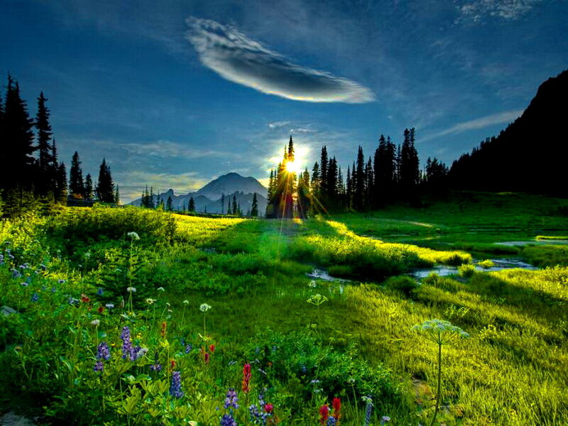 Sunrise over Mountain Meadow — Green