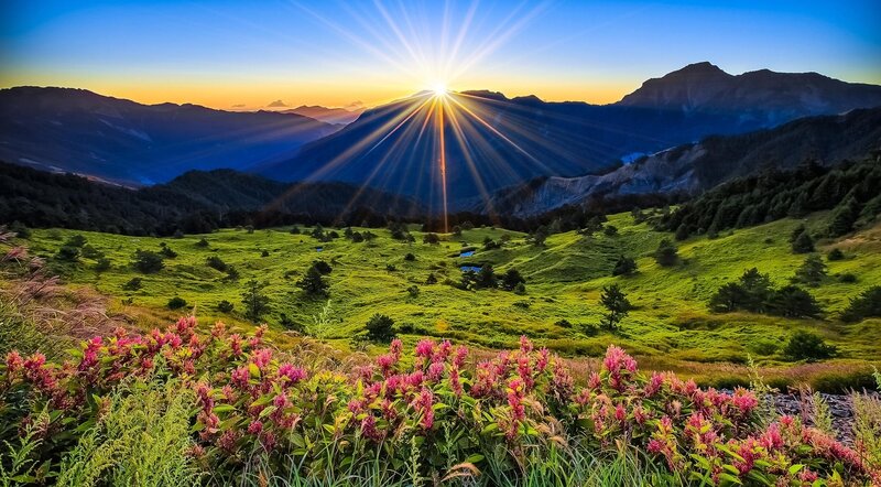 Sunrise over mountain meadow