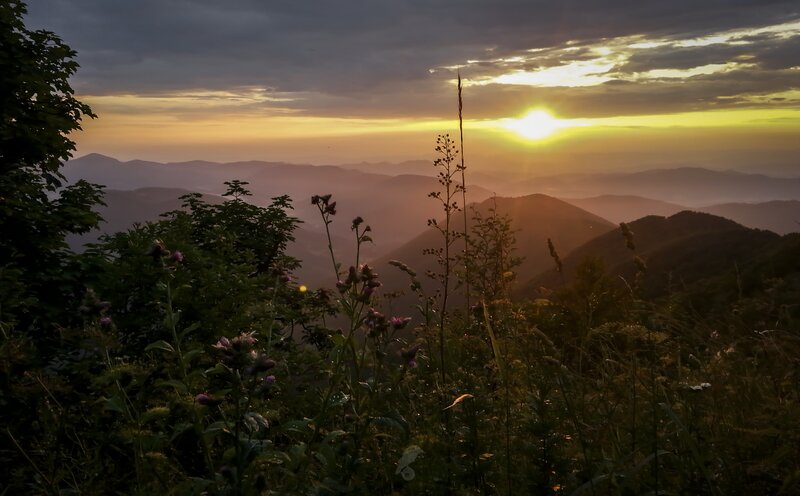 Sunrise over Mountain Range — Yellow, Serene