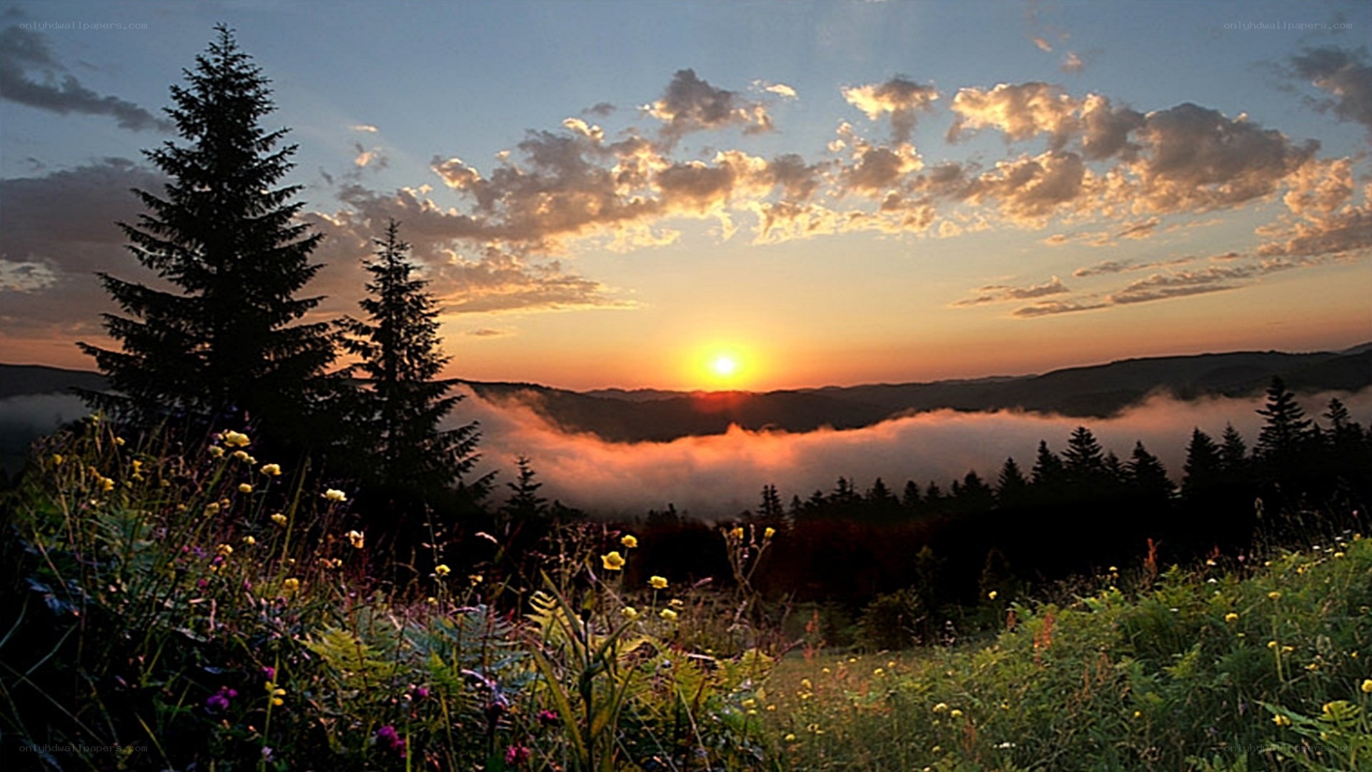Sunrise over mountain valley