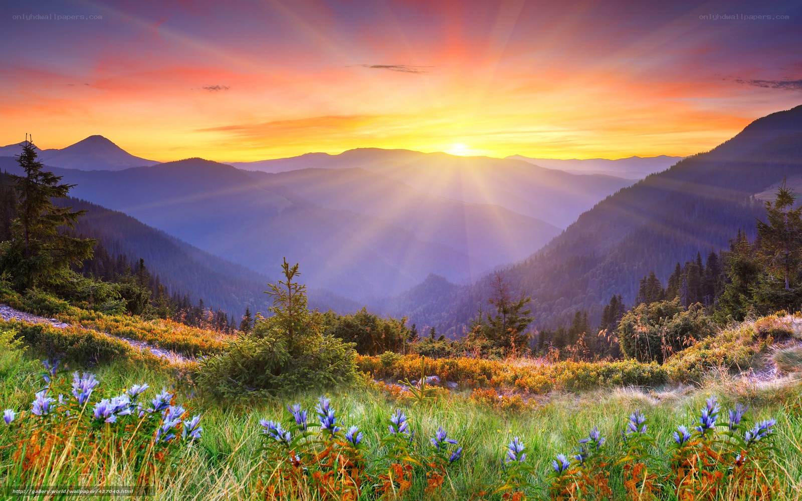 Sunrise over mountain valley