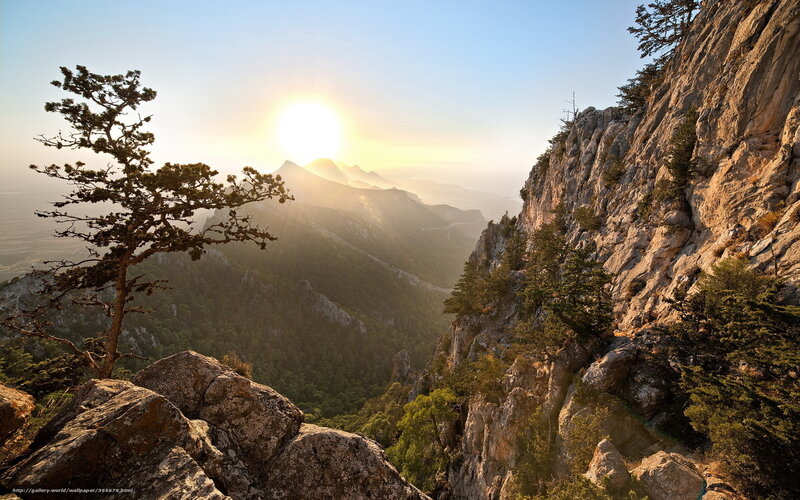 Sunrise over Mountain Valley — Blue, Serene, Photograph, Tree