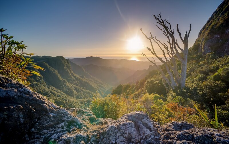 Sunrise over Mountain Valley — Green, Serene, Photograph, Tree