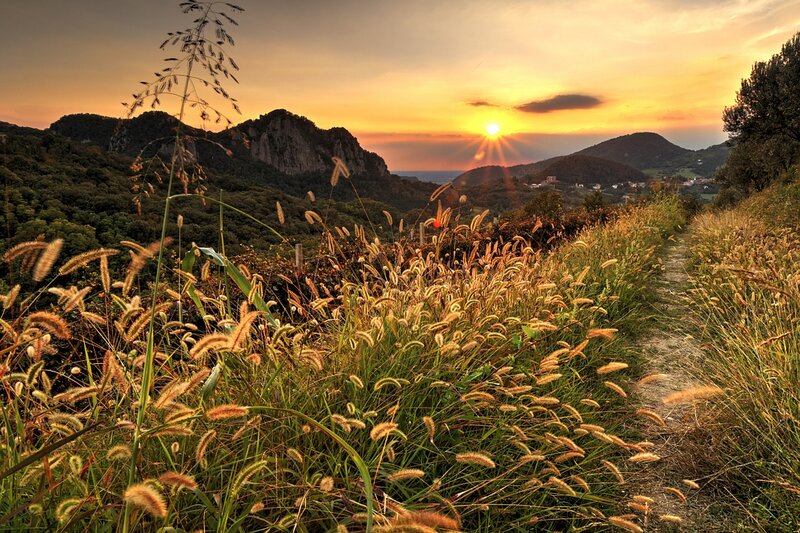 Sunrise over Mountain Valley — Orange, Serene, Photograph