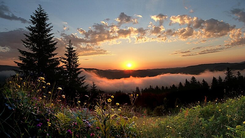 Sunrise over Mountain Valley — Orange, Serene, Photograph, Trees