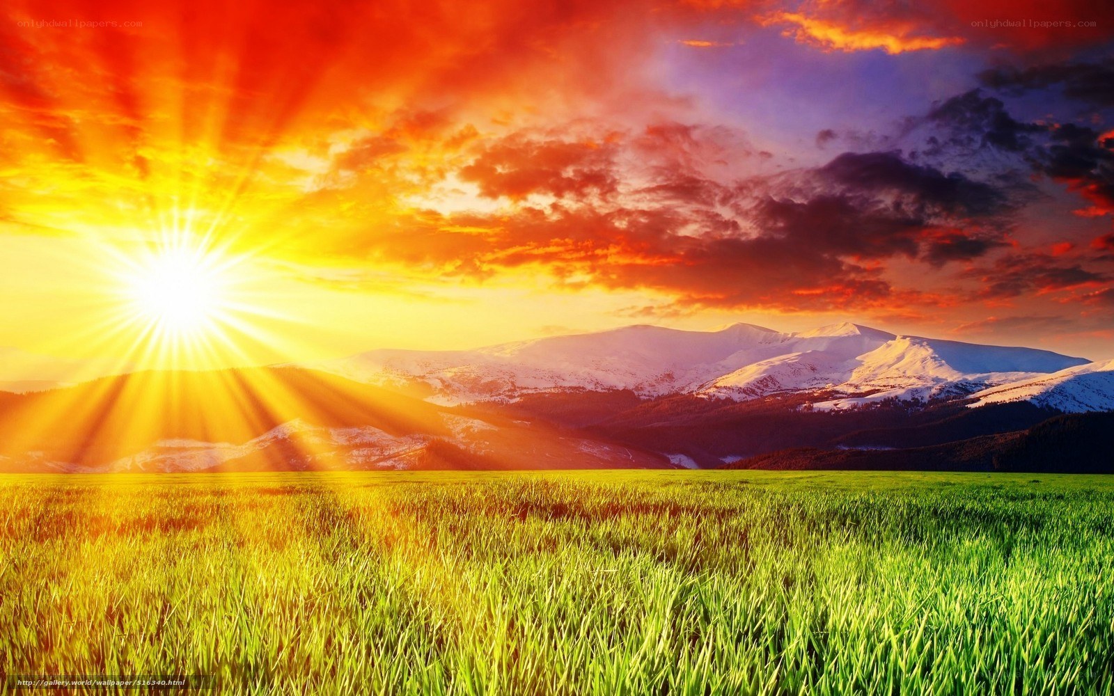 Sunrise over mountains and field
