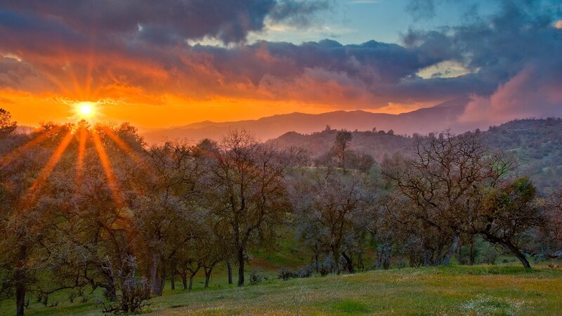 Sunrise over Oak Trees — Orange, Dramatic, Photograph