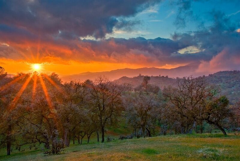 Sunrise over Oak Trees — Orange, Dramatic