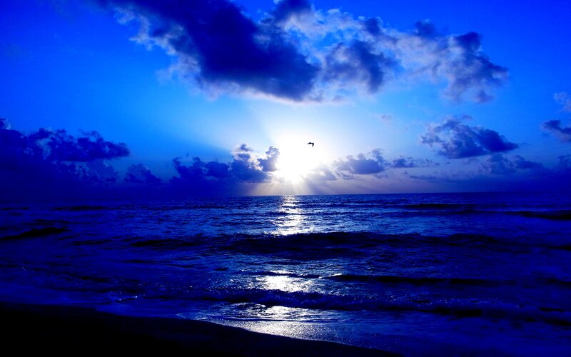 Sunrise over Ocean — Blue, Dramatic, Photograph, Clouds, Bird