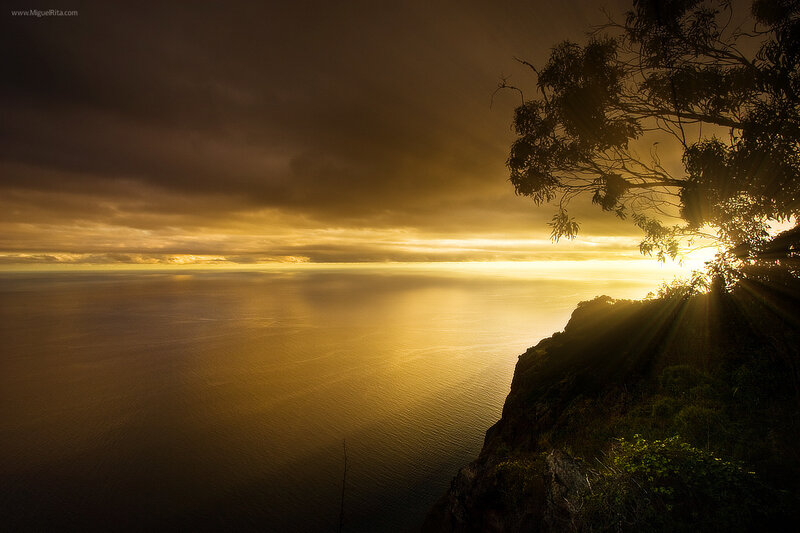 Sunrise over Ocean — Gold, Dramatic, Photograph, Cliff, Tree