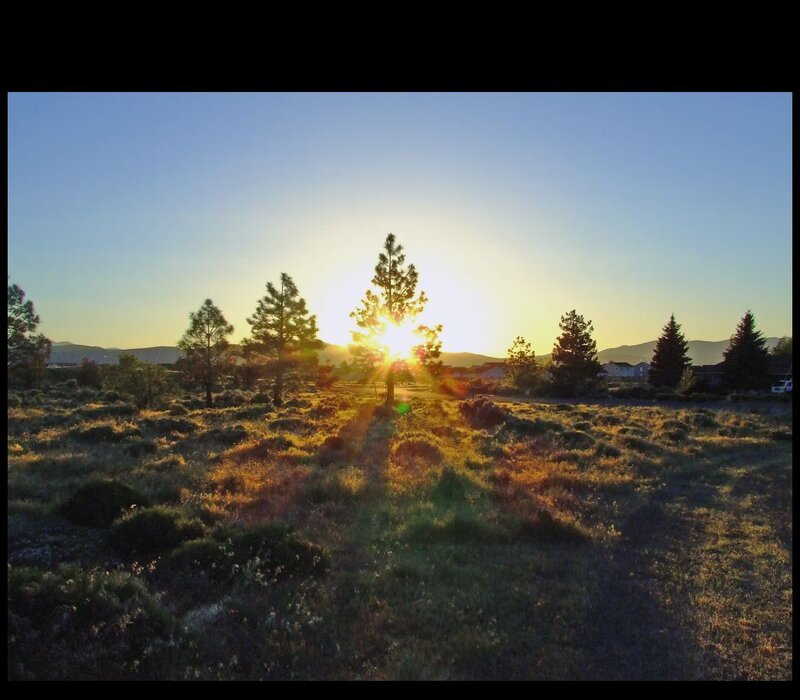 Sunrise over Pine Trees — Blue, Serene, Sunset