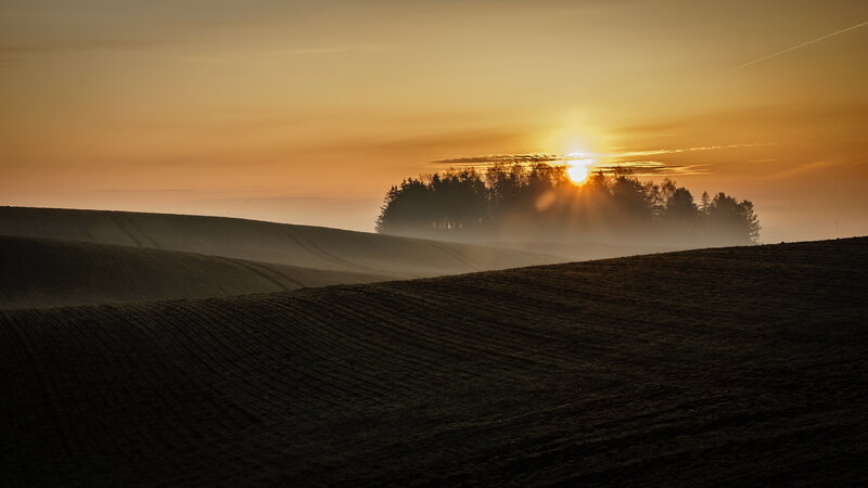 Sunrise over Plowed Fields
