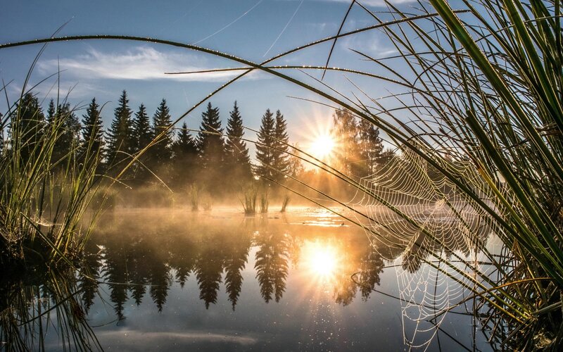 Sunrise over Pond — Blue
