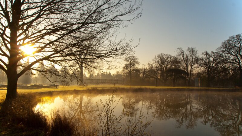 Sunrise over Pond — Gold, Serene