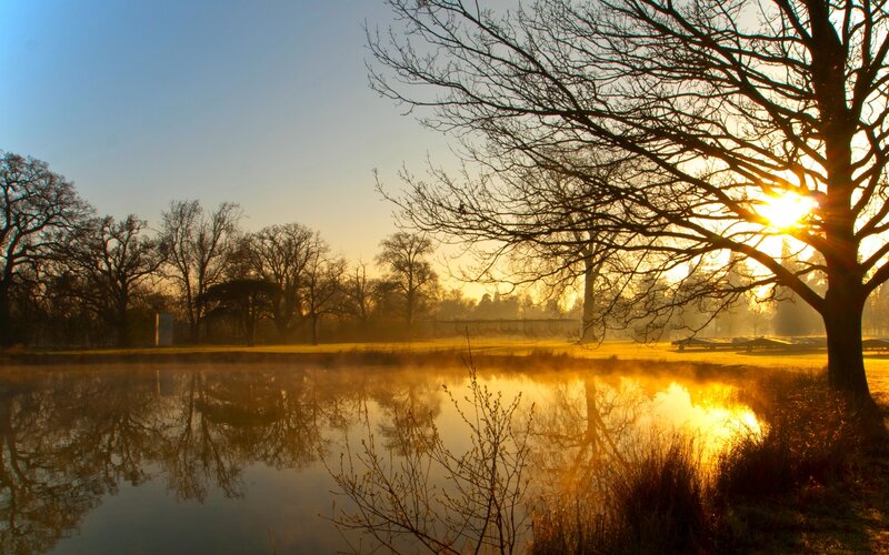 Sunrise over Pond — Gold