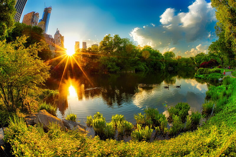 Sunrise over Pond — Green, Serene, Sunset