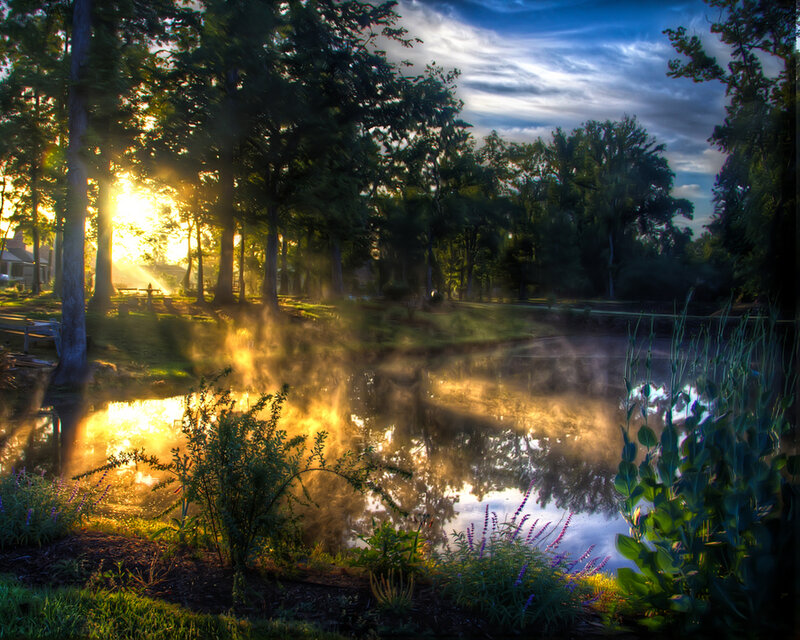 Sunrise over Pond — Green