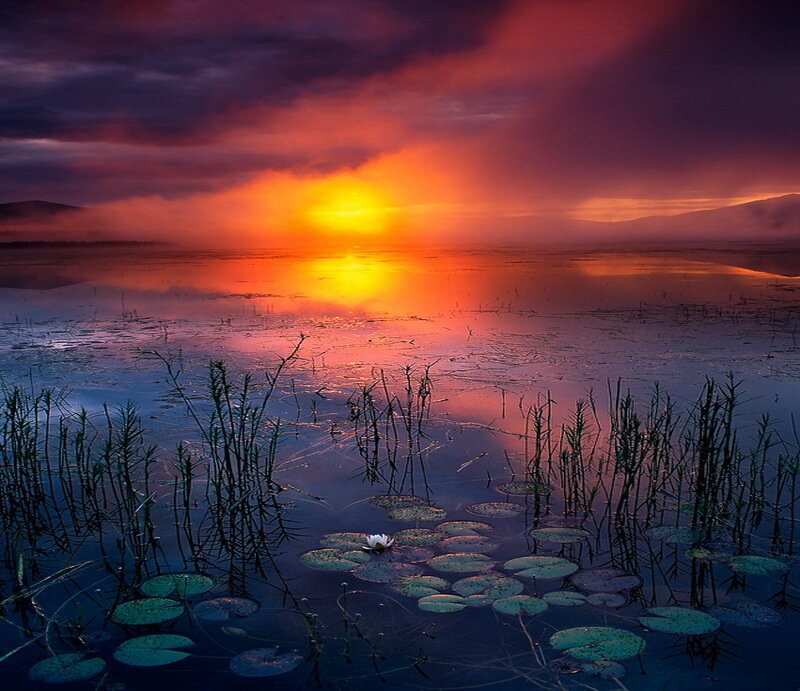 Sunrise over Pond