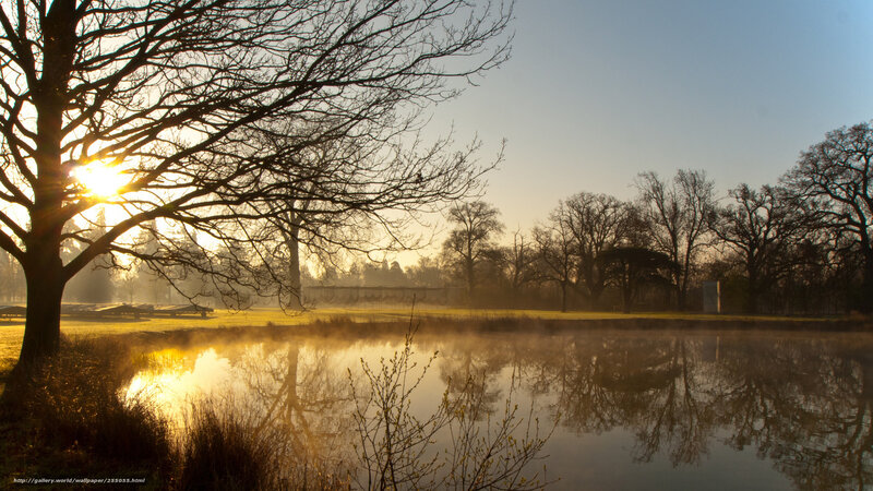 Sunrise over Pond — Yellow