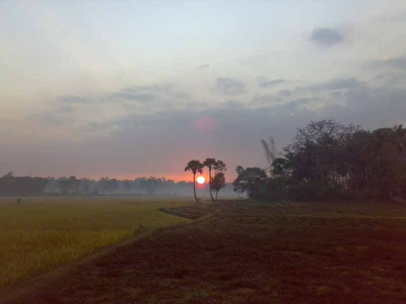 Sunrise over Rice Fields