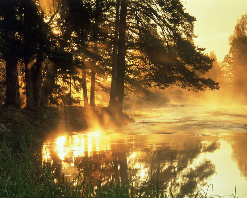 Sunrise over River — Gold