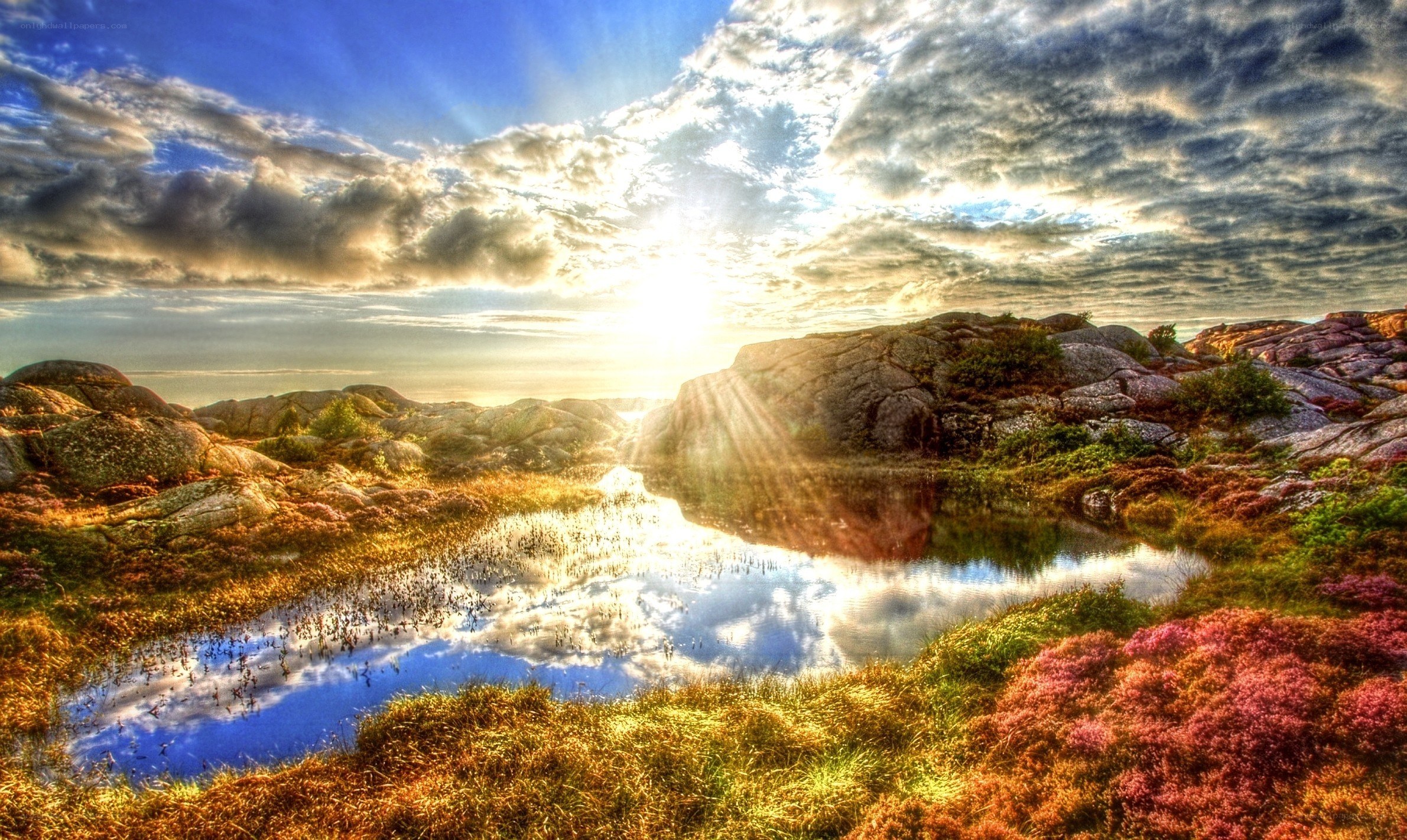 Sunrise over rocky pond