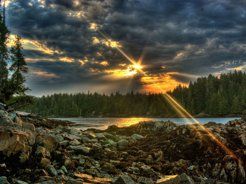Sunrise over Rocky Shore — Orange, Dramatic, Photograph, Forest
