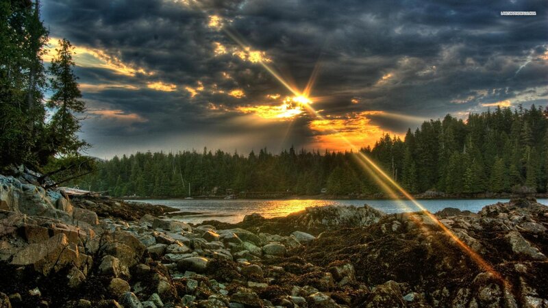 Sunrise over Rocky Shore — Orange, Dramatic, Photograph, Trees, Clouds