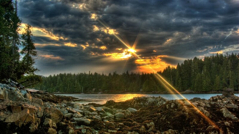 Sunrise over Rocky Shore — Orange, Dramatic, Photograph, Trees