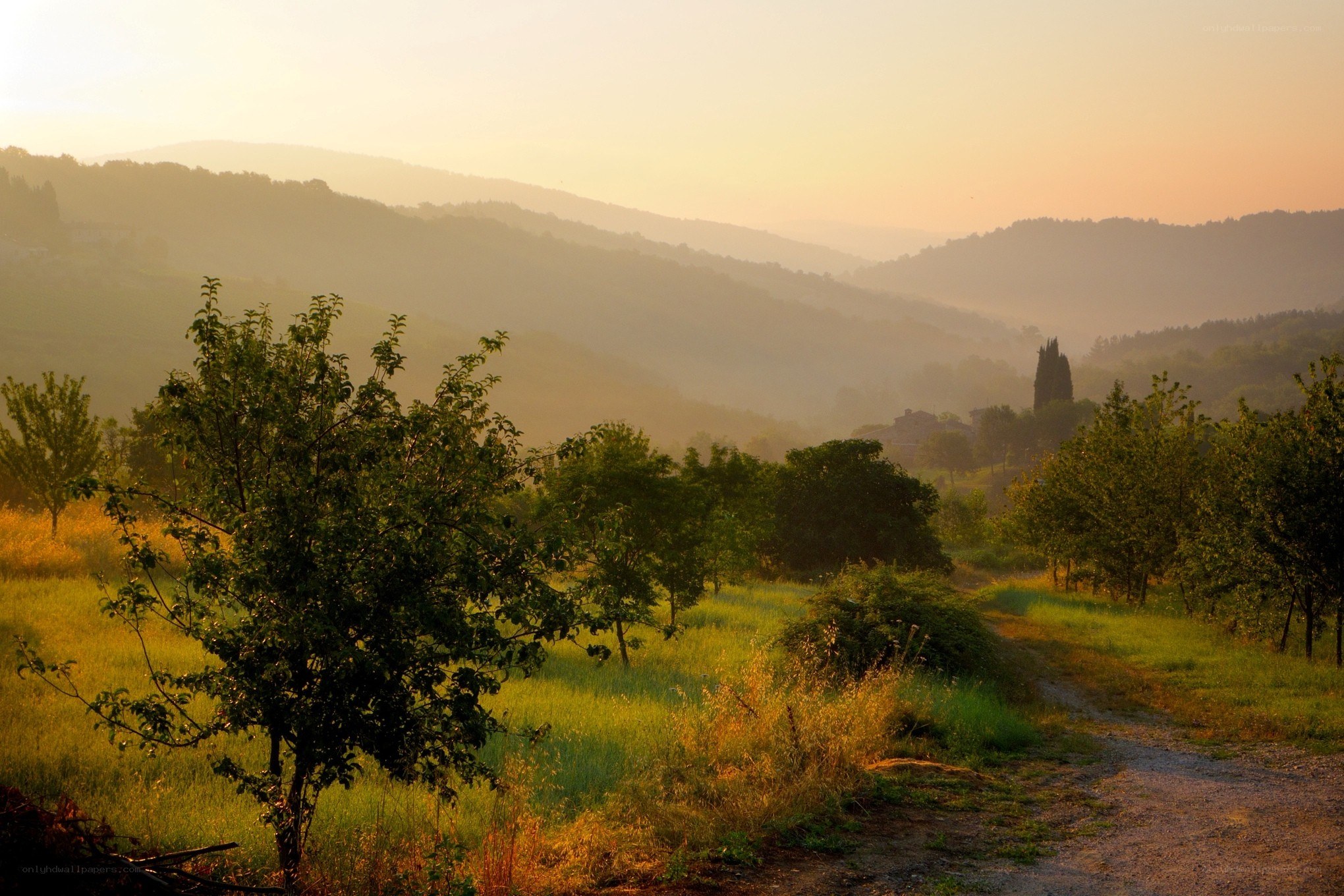 Sunrise over rolling hills