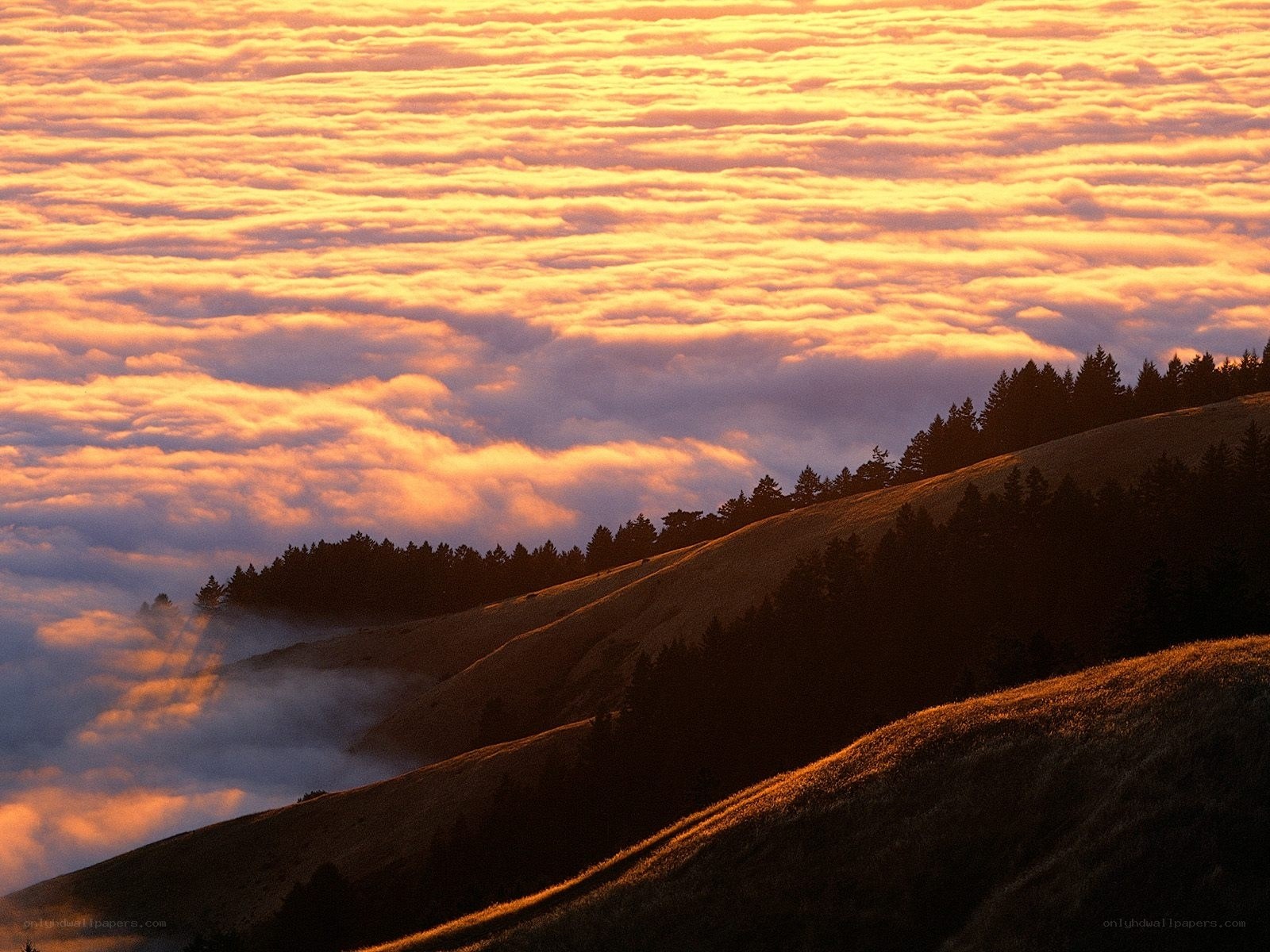Sunrise over rolling hills