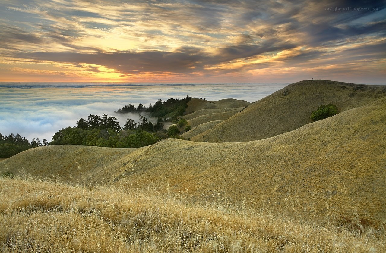 Sunrise over rolling hills