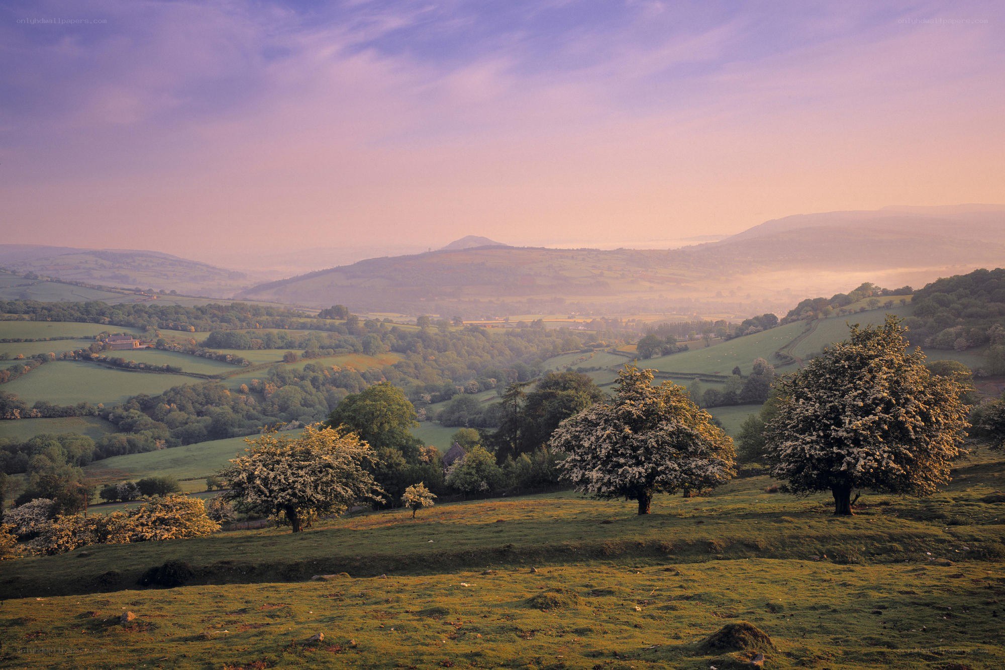 Sunrise over rolling hills