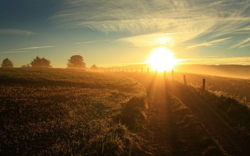 Sunrise over Rural Field — Gold, Serene