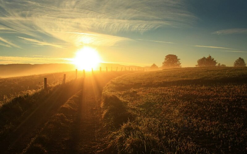 Sunrise over Rural Field — Gold