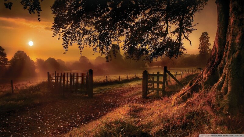Sunrise over Rural Field — Orange