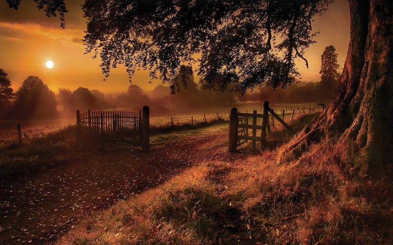 Sunrise over Rural Gate