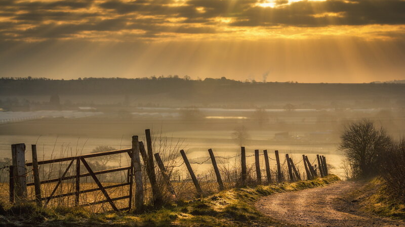 Sunrise over Rural Landscape — Gold
